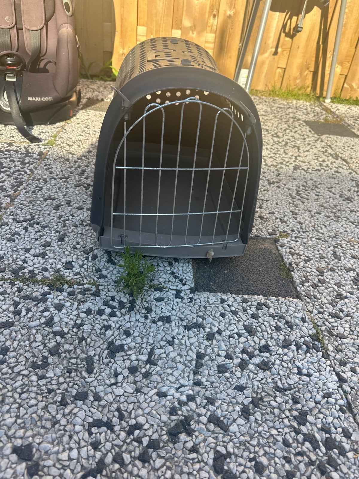 Reis mandje, Dieren en Toebehoren, Ophalen of Verzenden