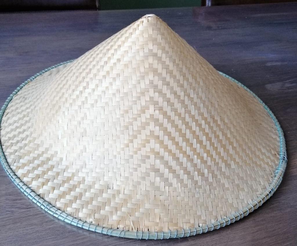 Vietnamese hoed, Ophalen of Verzenden, Zo goed als nieuw, Carnaval, Accessoires