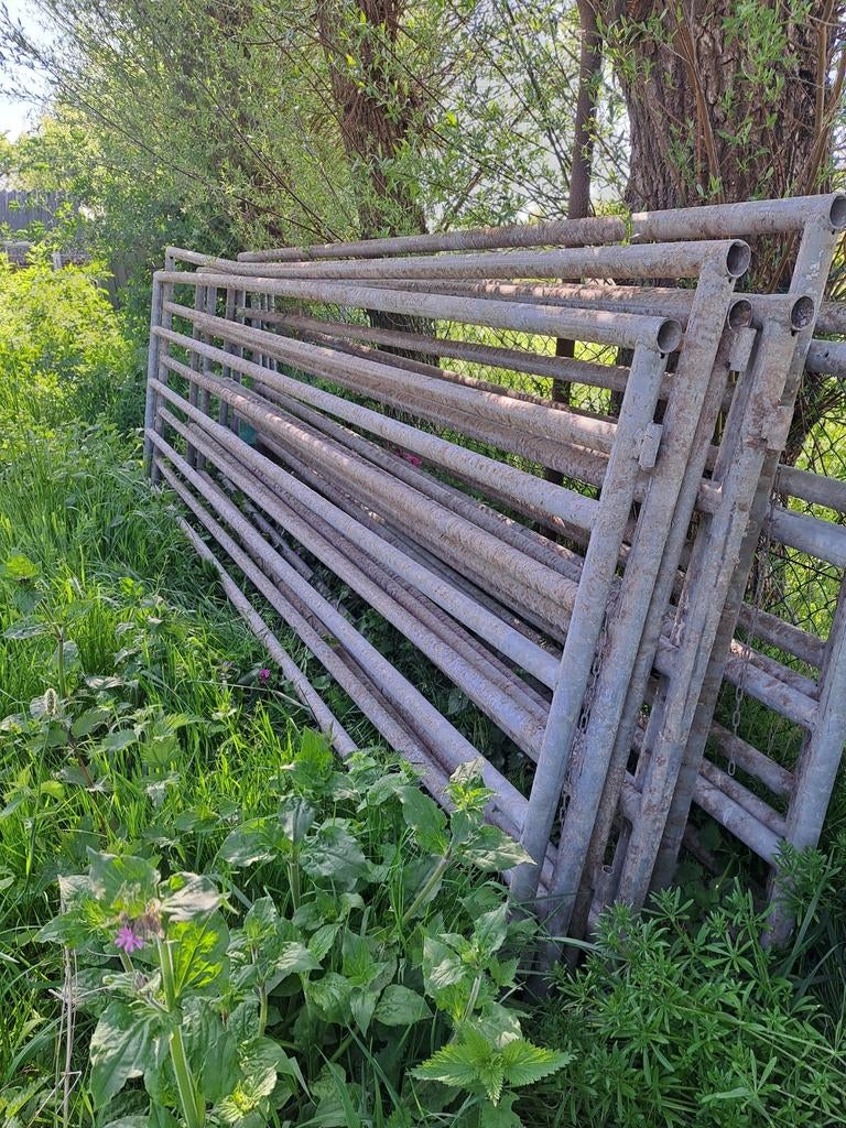 Zware hekken, Tuin en Terras, Tuinhekken en Hekwerk, Ophalen of Verzenden, Gebruikt, IJzer