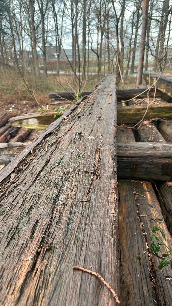 Basralocus balken meerpalen, Tuin en Terras, Haardhout, Minder dan 3 m³, Ophalen of Verzenden