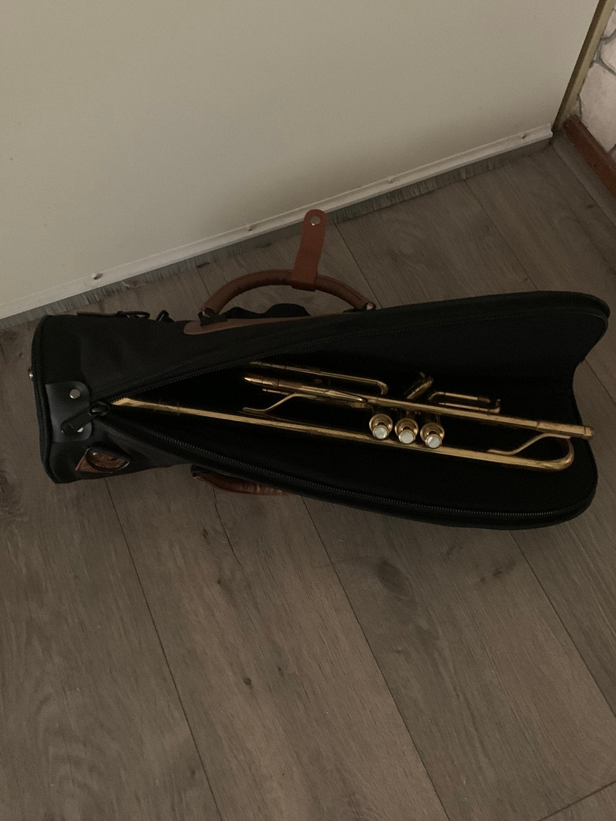 Splinter nieuwe gigbag voor trompet, Muziek en Instrumenten, Ophalen of Verzenden, Trompet