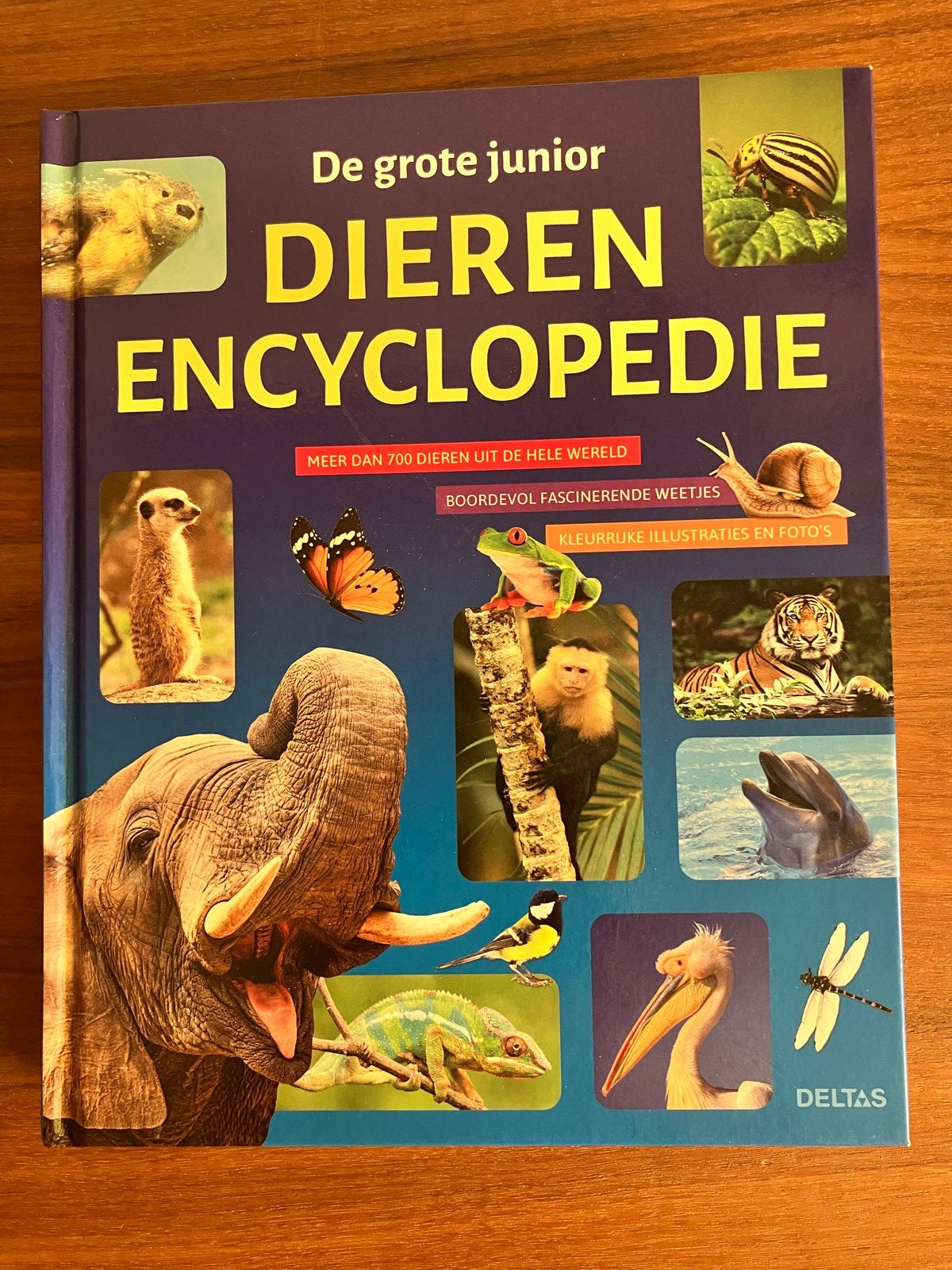 De Grote Junior Dieren Encyclopedie - Deltas, Boeken, Encyclopedieën, Ophalen of Verzenden, Zo goed als nieuw, Dieren, Los deel