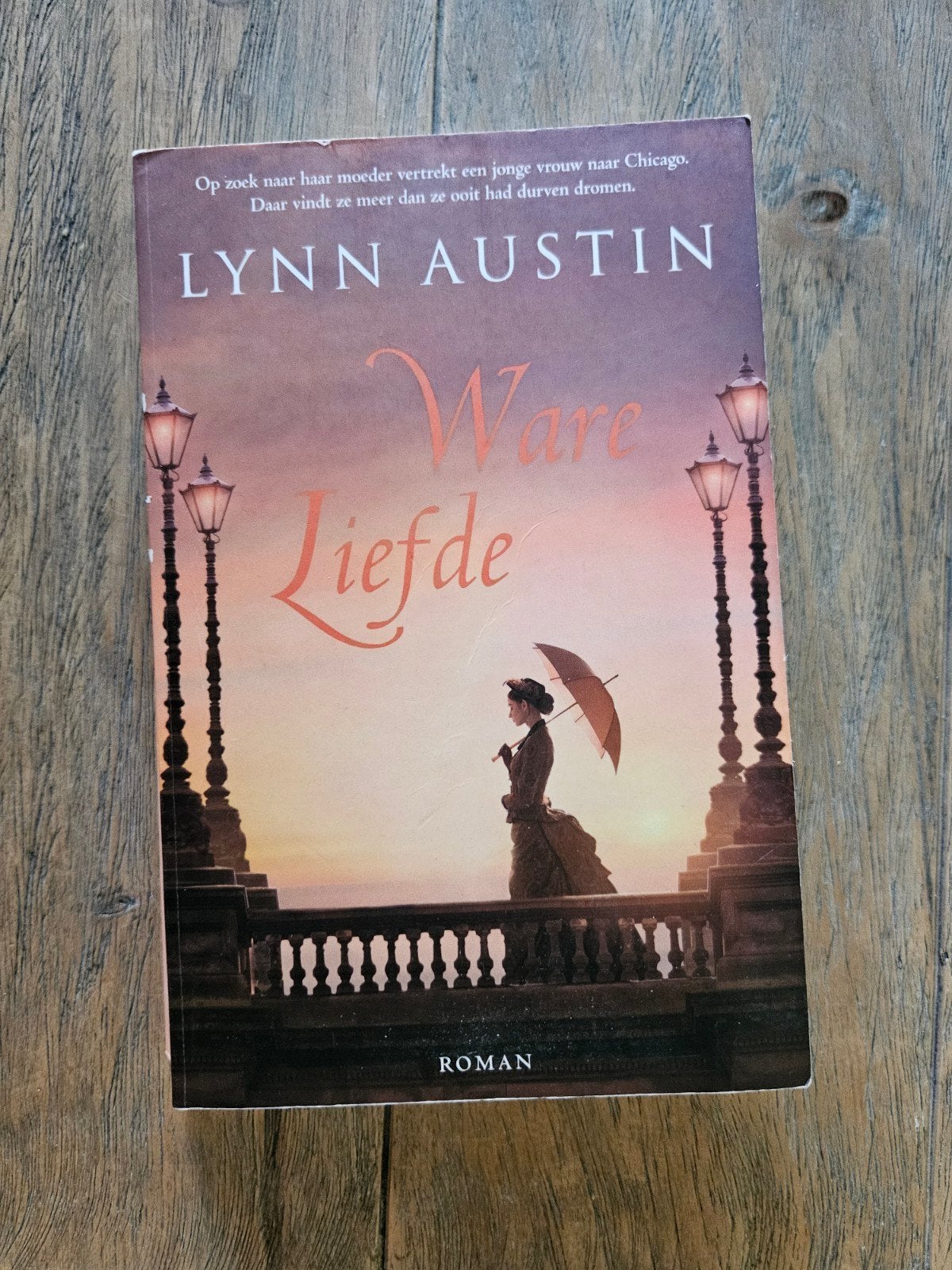 Ware Liefde - Lynn Austin (Roman), Ophalen of Verzenden, Gelezen, Lynn Austin