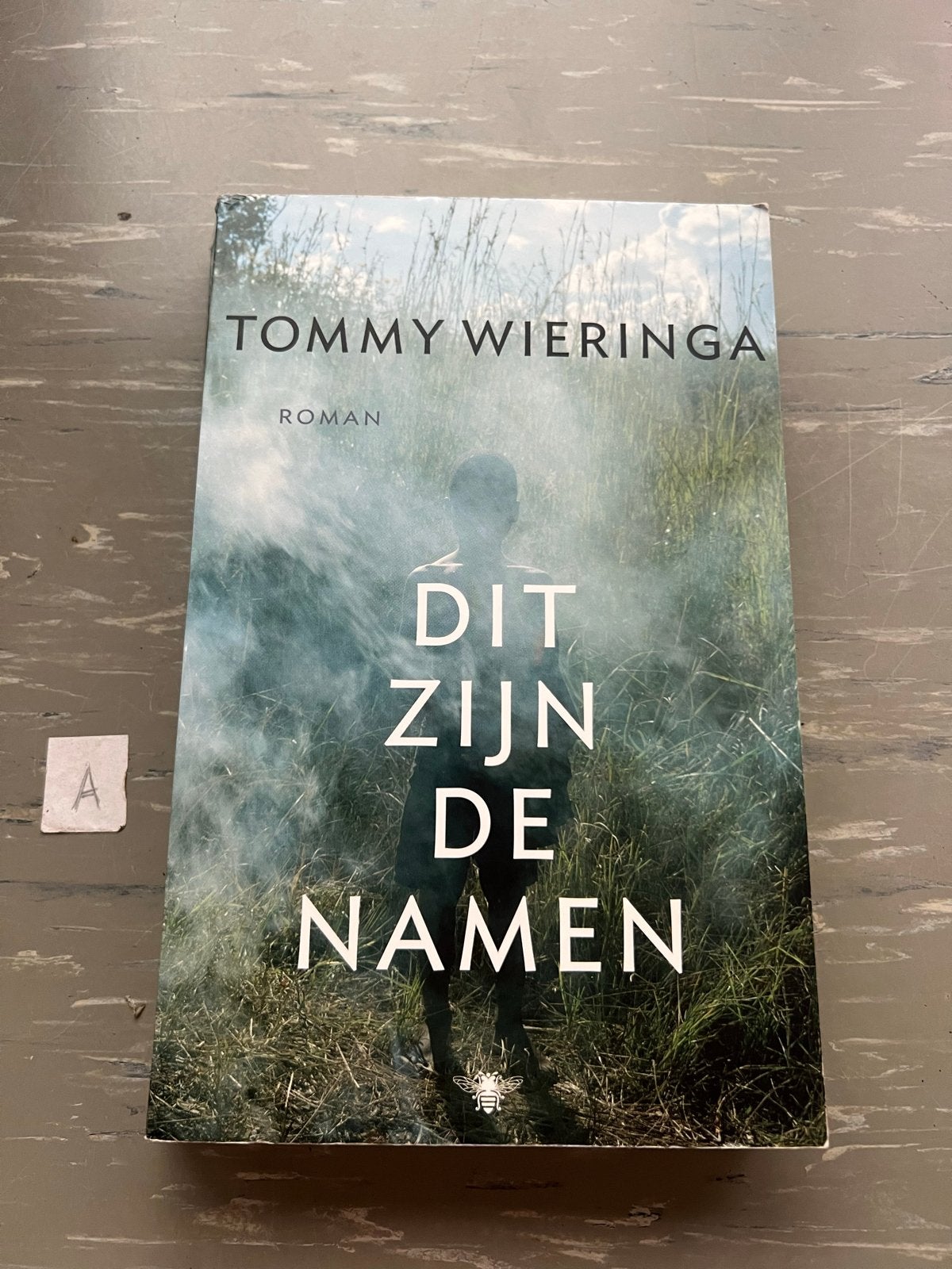 Dit zijn de namen - Tommy Wieringa (Roman), Ophalen of Verzenden, Zo goed als nieuw, Nederland