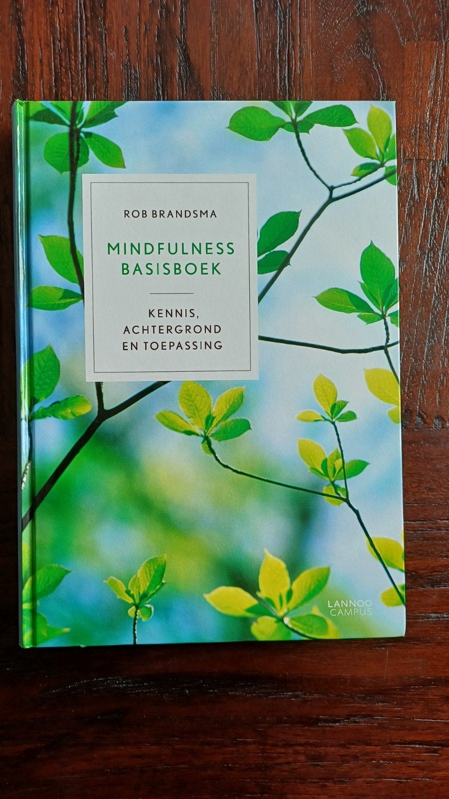 Mindfulness Basisboek - Rob Brandsma, Rob Brandsma, Ophalen of Verzenden, Zo goed als nieuw, Gamma