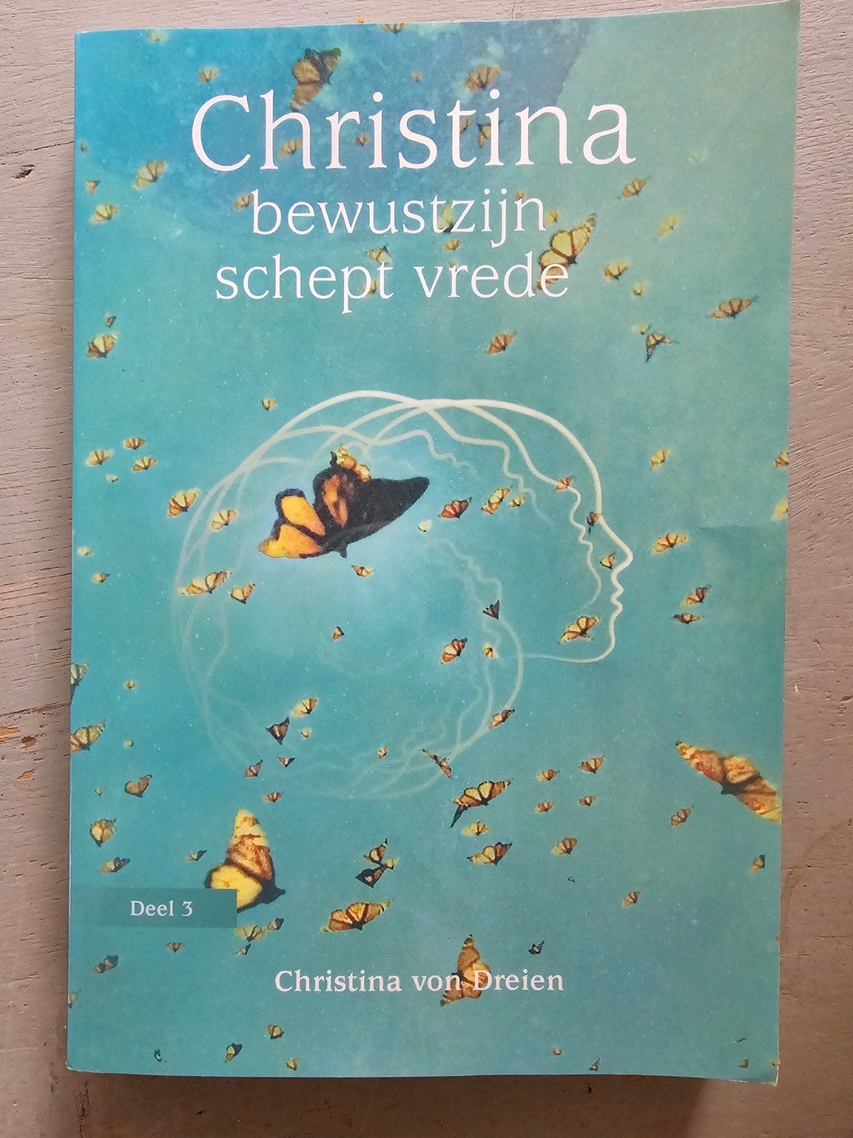 Christina: Bewustzijn Schept Vrede - Deel 3, Boeken, Achtergrond en Informatie, Spiritualiteit algemeen, Ophalen of Verzenden