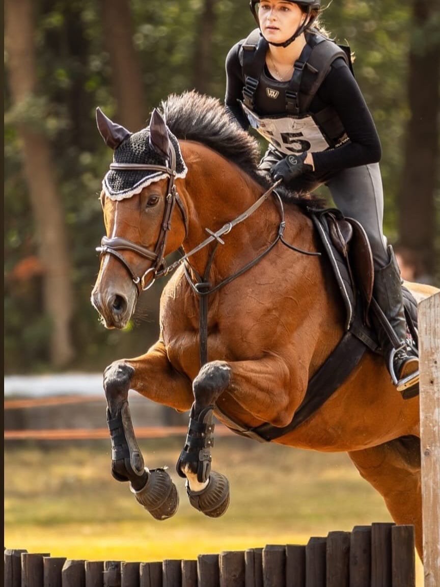 fanatiek springpaard te koop!, Merrie, Springpaard, 7 tot 10 jaar, 165 tot 170 cm
