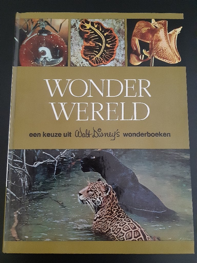 Wonder wereld een keuze uit Walt Disney's wonderboeken, Ophalen of Verzenden, Zo goed als nieuw, Katten