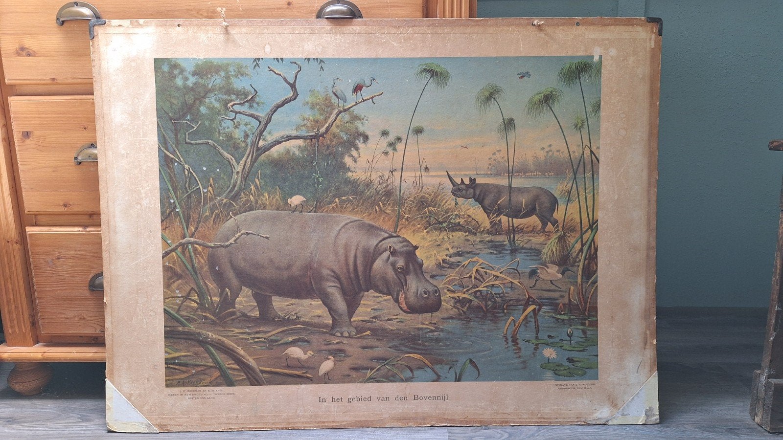 Schoolplaat 'In het gebied van den Bovennijl', Antiek en Kunst, Antiek | Schoolplaten, Ophalen, Natuur en Biologie