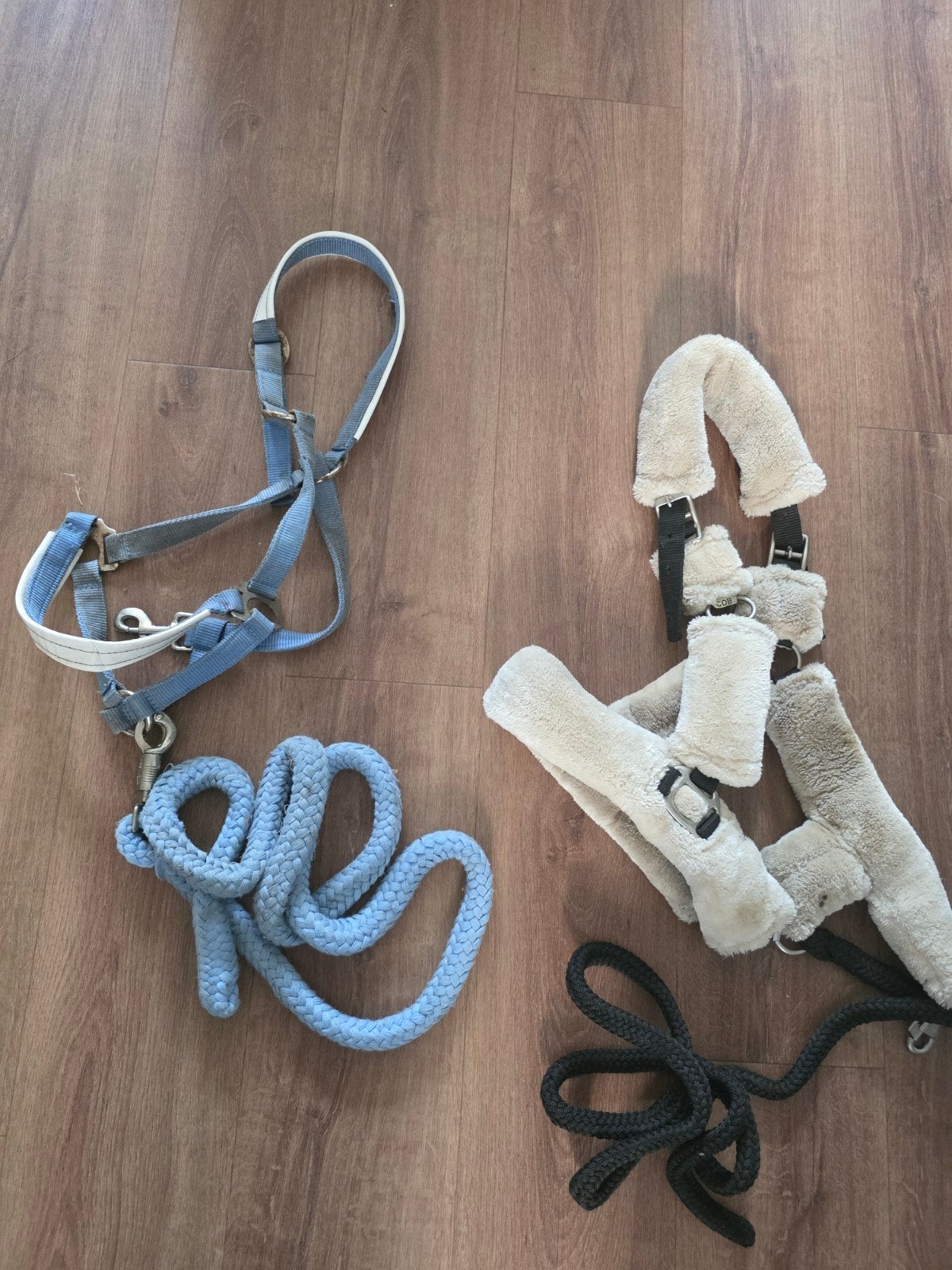 Halster Cob, Ophalen of Verzenden, Gebruikt, Recreatie