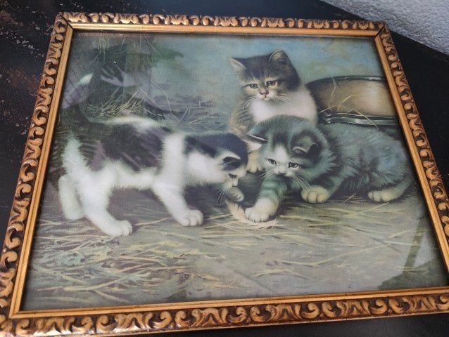 Vintage prent kittens in lijst, Minder dan 50 cm, Gebruikt, Ophalen of Verzenden, Print