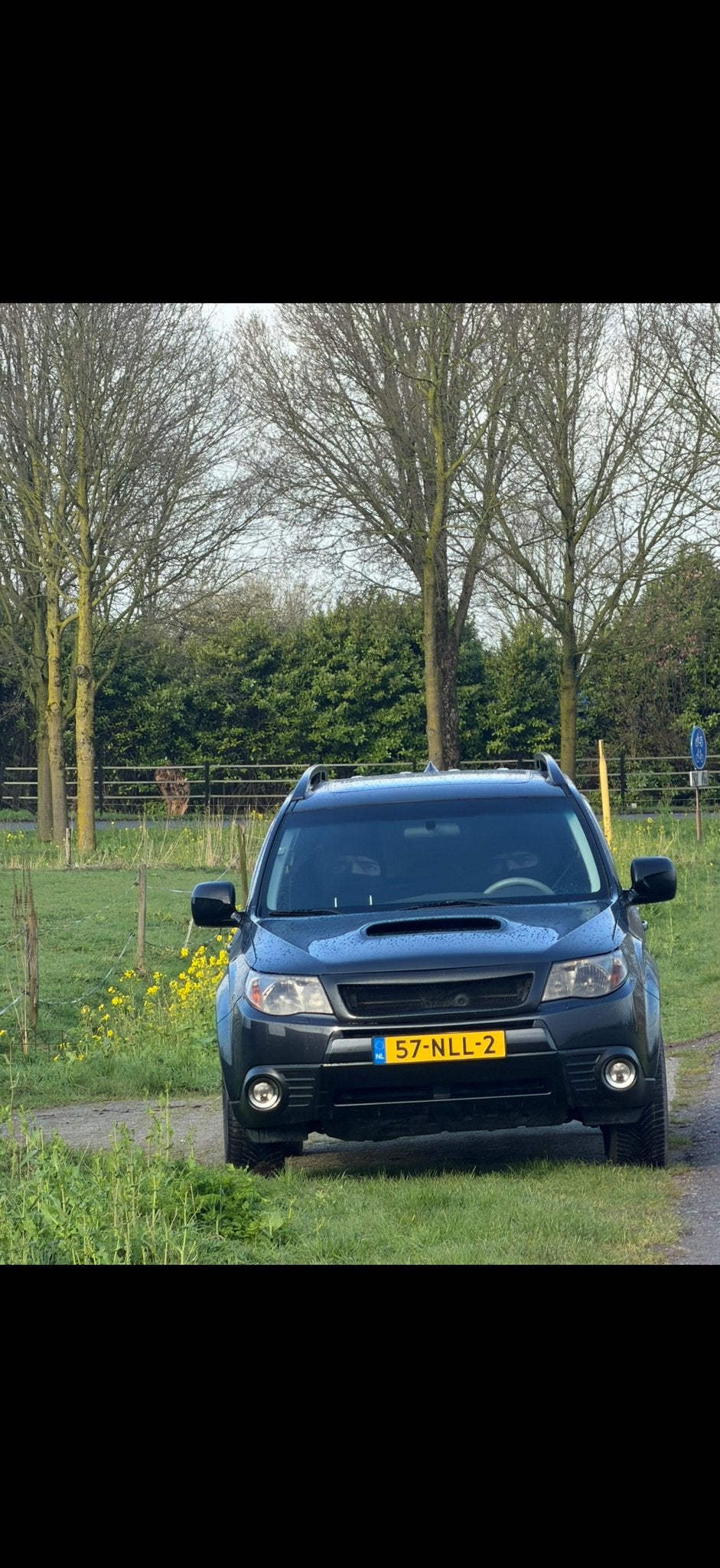 Subaru Forester 2.5 XT AWD AUT 2010 Grijs, Auto's, 4 cilinders, 2000 kg, Forester, Vierwielaandrijving