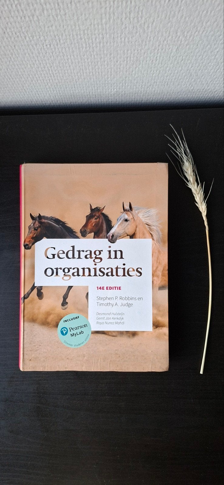 Gedrag in organisaties - 14e editie, Boeken, Stephen P. Robbins en Timothy A. Judge, Zo goed als nieuw, Alpha, HBO