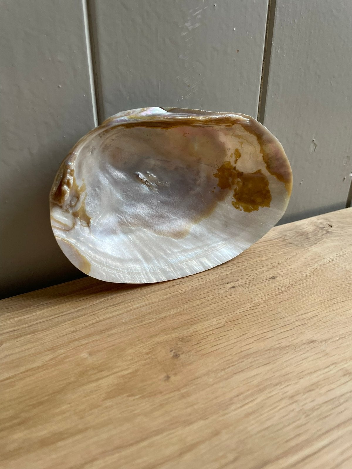 Grote parelmoer schelp., Ophalen of Verzenden, Schelp(en)