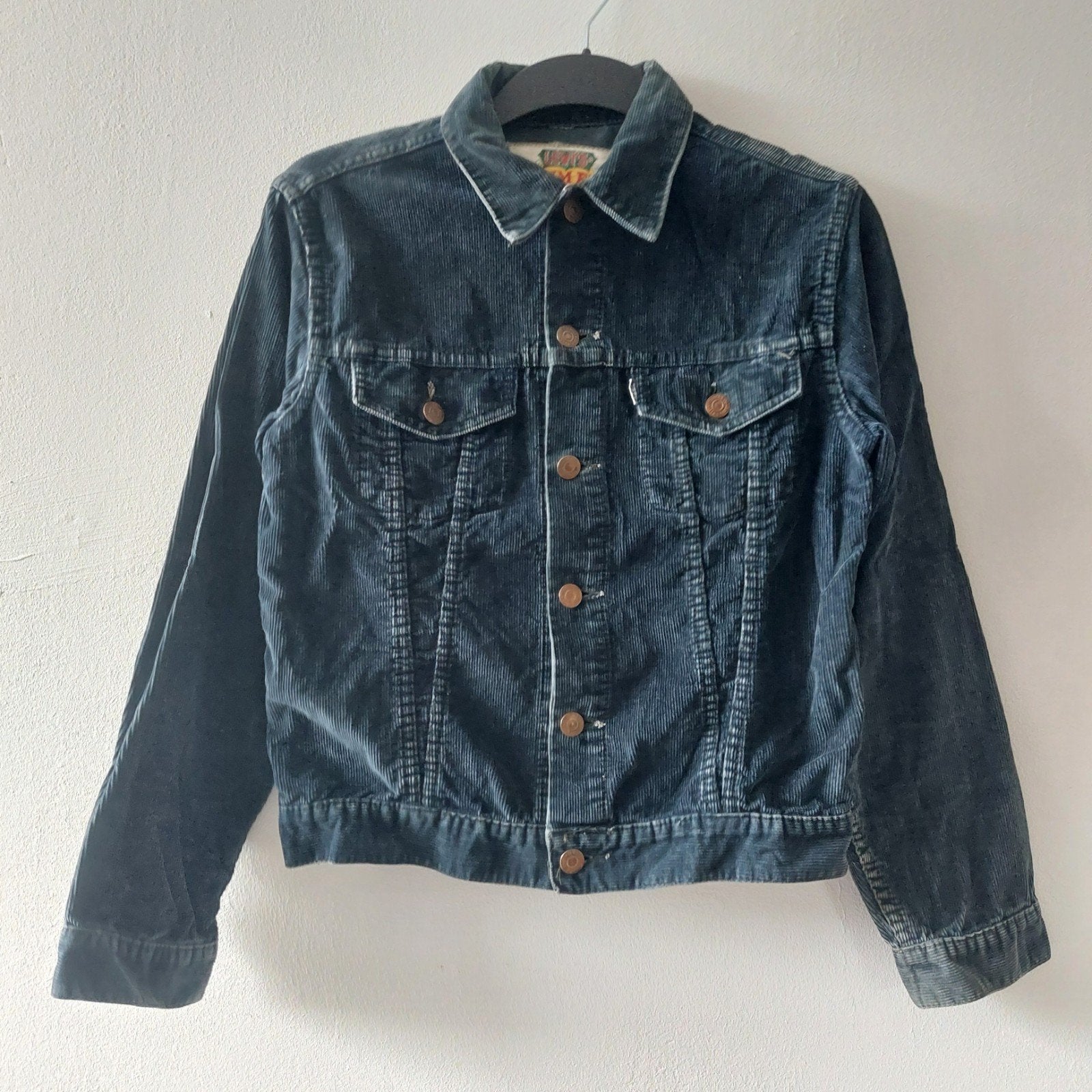 Vintage 60s Levis corduroy big E jacket, Ophalen of Verzenden, Gedragen, Blauw, Levi's