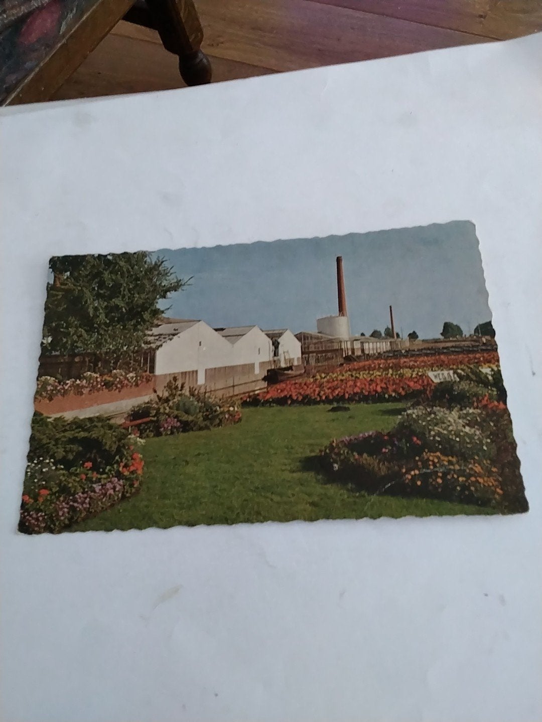 Oude Ansichtkaart Aalsmeer - Fa. Wed. P. Eveleens & Zonen, Ophalen of Verzenden, Zuid-Holland