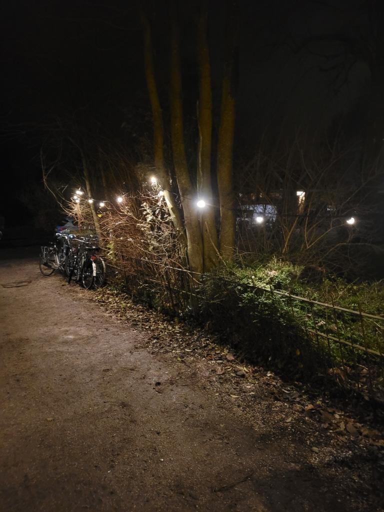 Prikkabel VERHUUR feestverlichting tent straat of tuinfeest, Tuin en Terras, Planten | Struiken en Hagen, Ophalen, Overige soorten
