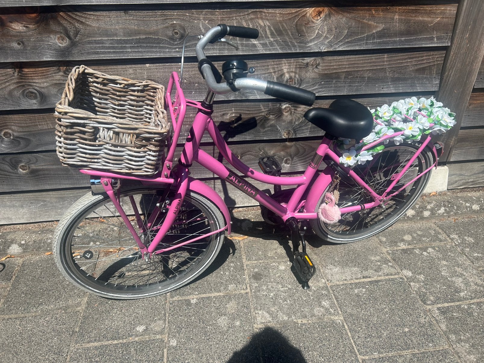 Alpina meisjesfiets fiets maat 22 inch, Ophalen, Zo goed als nieuw, 22 inch