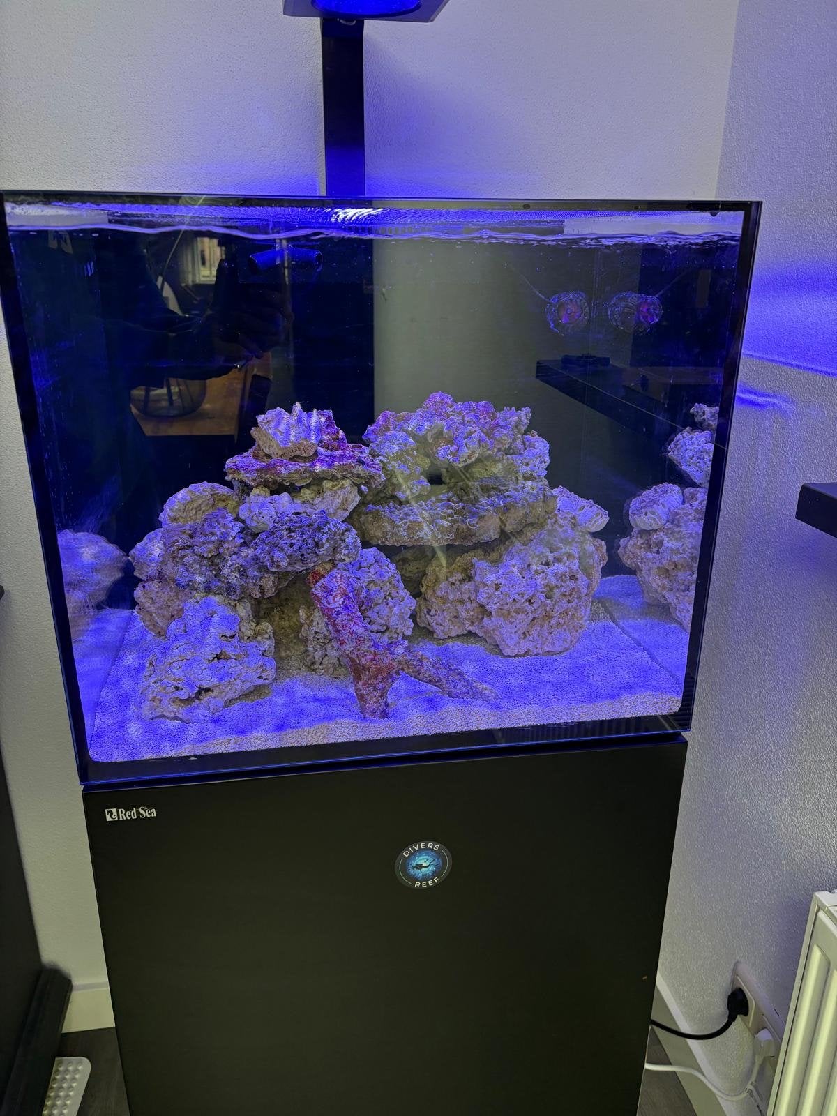 Red sea reefer 170 met techniek, Ophalen, Red Sea, Gebruikt, Inclusief deksel