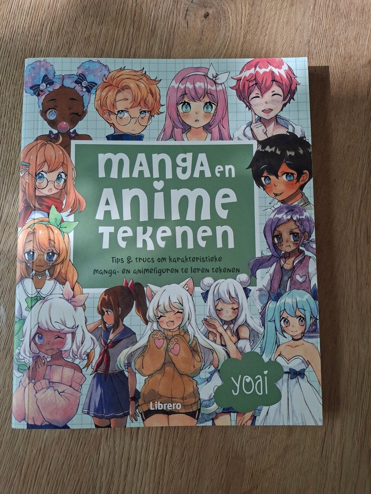 Manga en Anime Tekenen: Tips & Trucs voor Karakters, Ophalen of Verzenden, Zo goed als nieuw, Boek of Gids