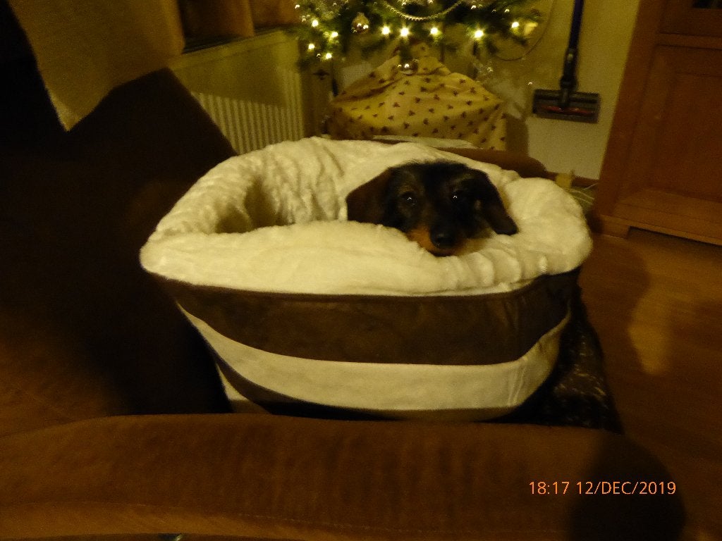 Honden/ katten  mand, Ophalen, Gebruikt, Stof