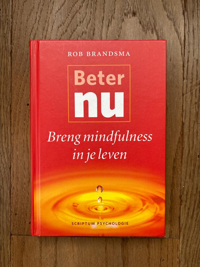 Rob Brandsma - Beter nu, Ophalen of Verzenden, Zo goed als nieuw, Rob Brandsma