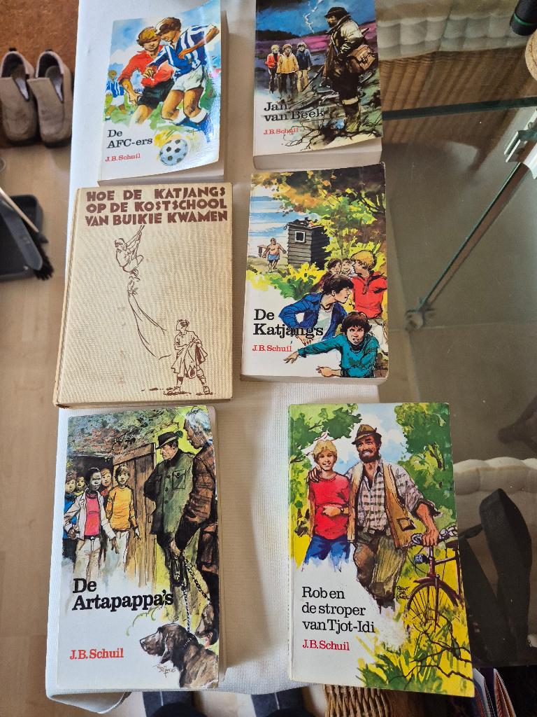 JB Schuil 6x: JvBeek, AFC-ers, 2 Katjangs, Artapappa's, Rob, Boeken, Ophalen of Verzenden, Gelezen