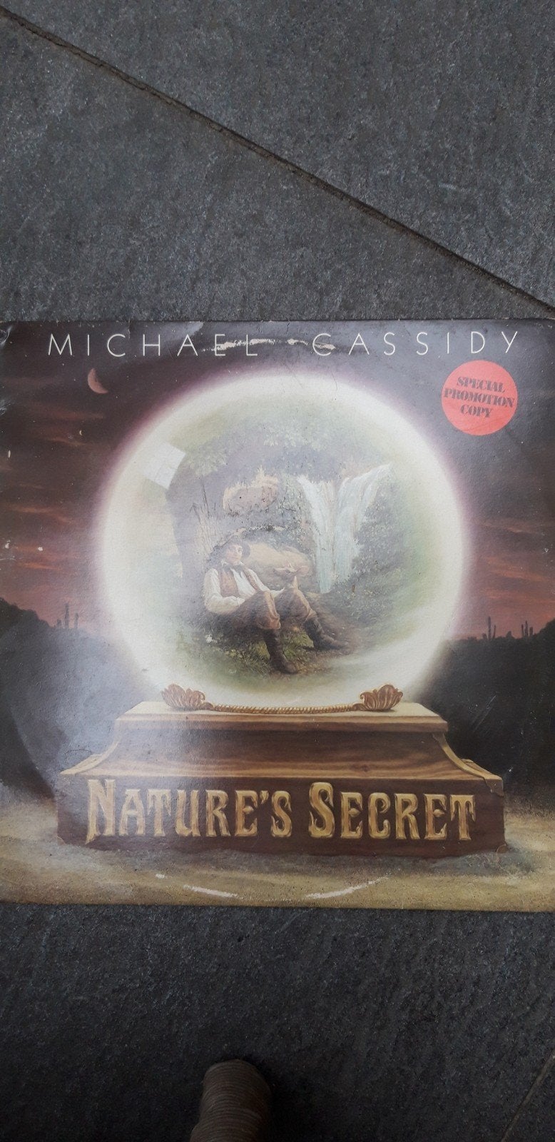 michael cassidy lp, Ophalen of Verzenden, Gebruikt, 12 inch
