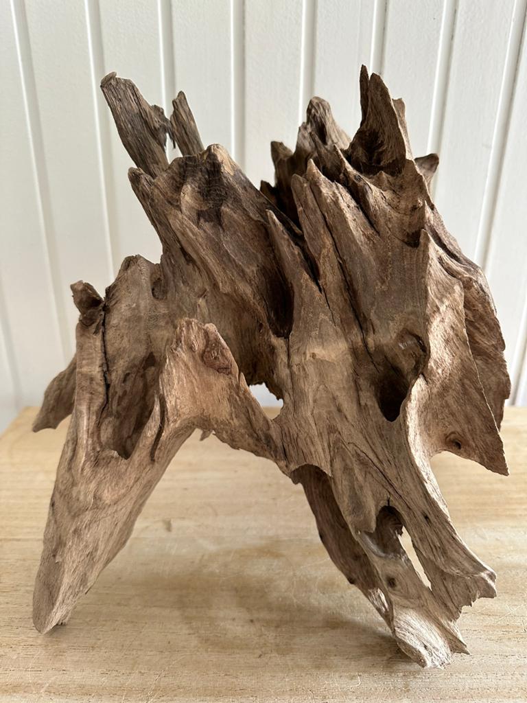 Kienhout Mooie Groot stuk, Dieren en Toebehoren, Ophalen, Plant(en), Steen of Hout