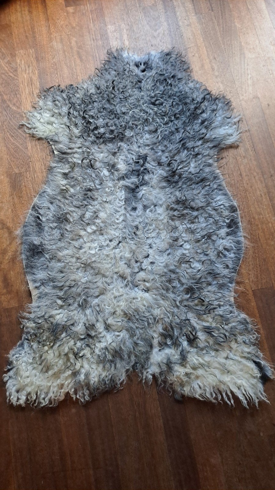 Schapenvacht,  Gotlander, Ophalen of Verzenden, Nieuw