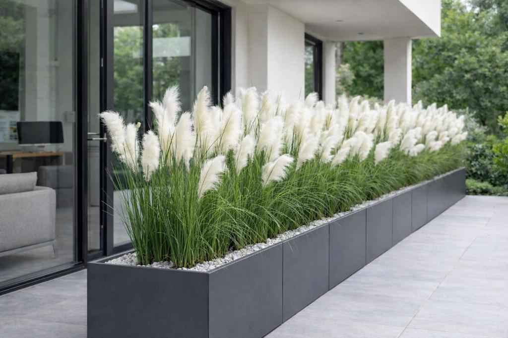 Partij Pampas rietgrassen 195cm kunstplanten - dividers, Huis en Inrichting, Ophalen of Verzenden, Nieuw