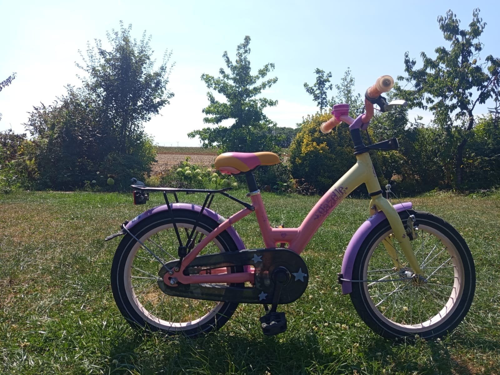 Meisjes fiets, Fietsen en Brommers, Ophalen, Gebruikt, Minder dan 16 inch