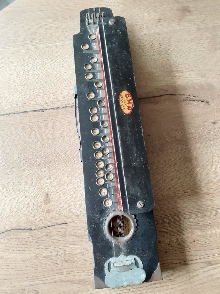 Vintage Indiase banjo zoldervondst, Muziek en Instrumenten, Snaarinstrumenten | Banjo's, Ophalen, Zo goed als nieuw, Overige typen