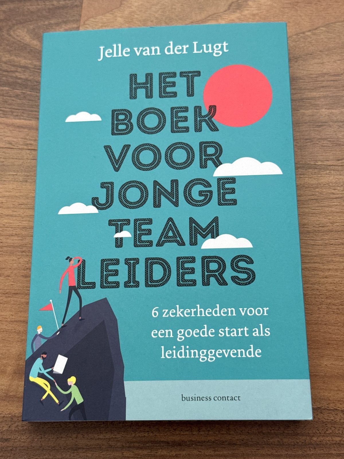 Het Boek voor Jonge Teamleiders - Jelle van der Lugt, Ophalen of Verzenden, Nieuw