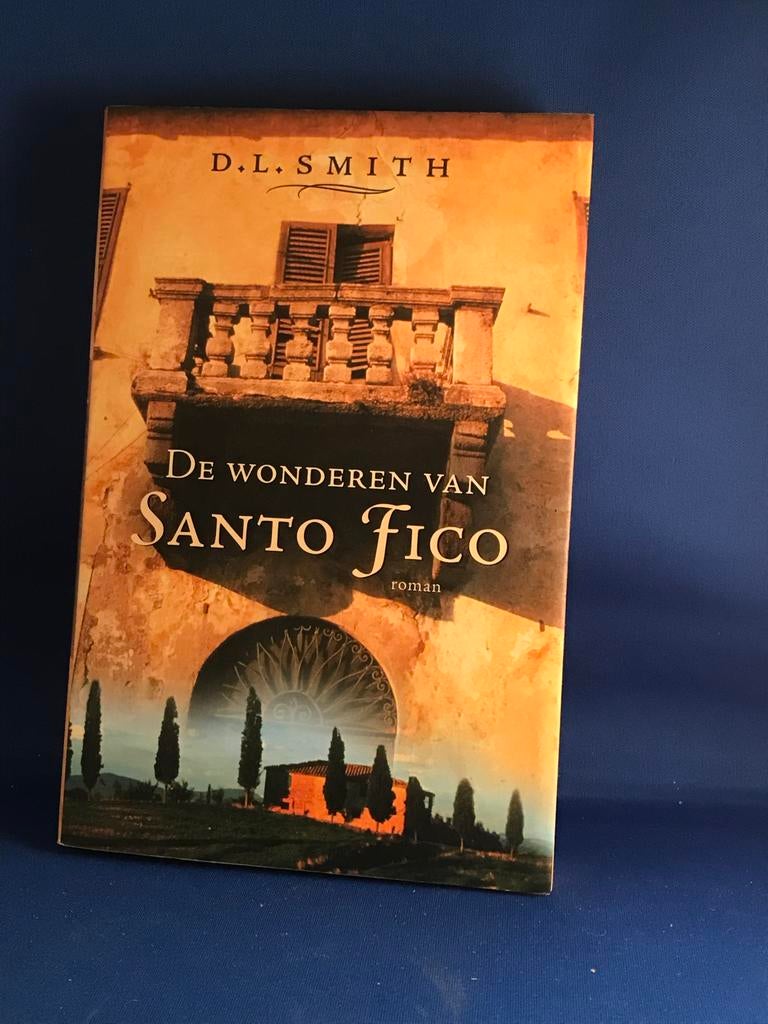 De wonderen van Santo Fico - D.L. Smith (roman), Ophalen, Gelezen, Europa overig