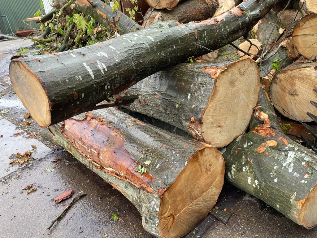 Amirikaanse eik brand/kloofhout, Tuin en Terras, Minder dan 3 m³, Ophalen of Verzenden