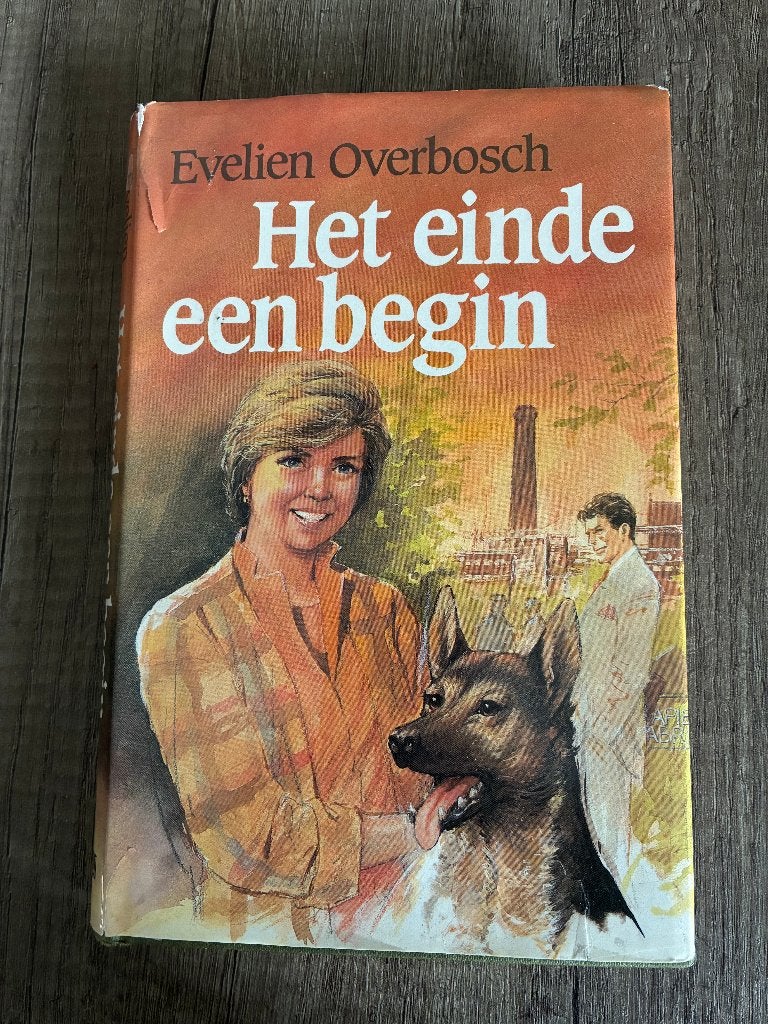 Evelien Overbosch - Het einde een begin, Ophalen of Verzenden, Gelezen, Evelien Overbosch