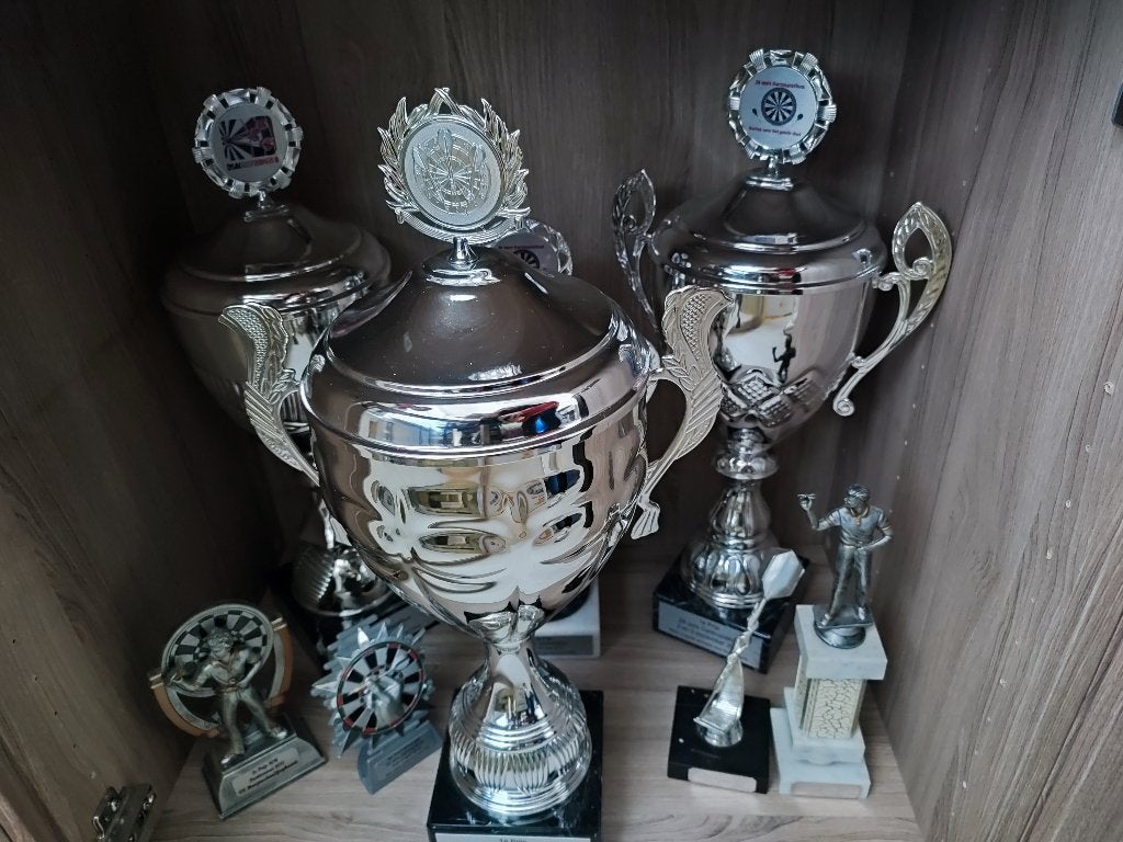31 dart trofeeën, Ophalen, Gebruikt, Overige sporten, Overige typen