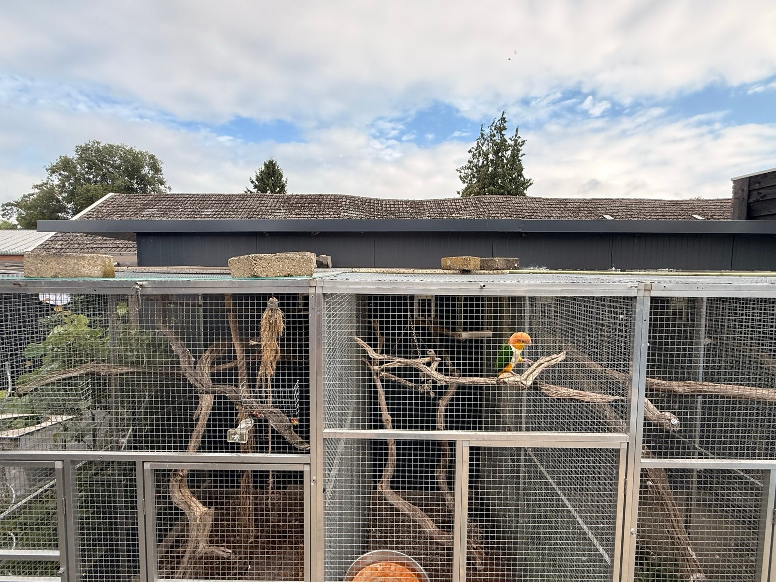 Complete vogel bestand incl kooien en volieres nachthokken, Ophalen, Zo goed als nieuw, Aluminium, Volière
