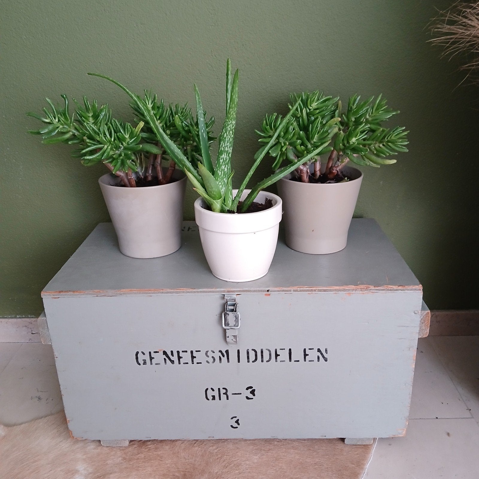 Mooie geneesmiddelen kist grijs/groen, Ophalen, Overige materialen, Minder dan 50 cm, Gebruikt