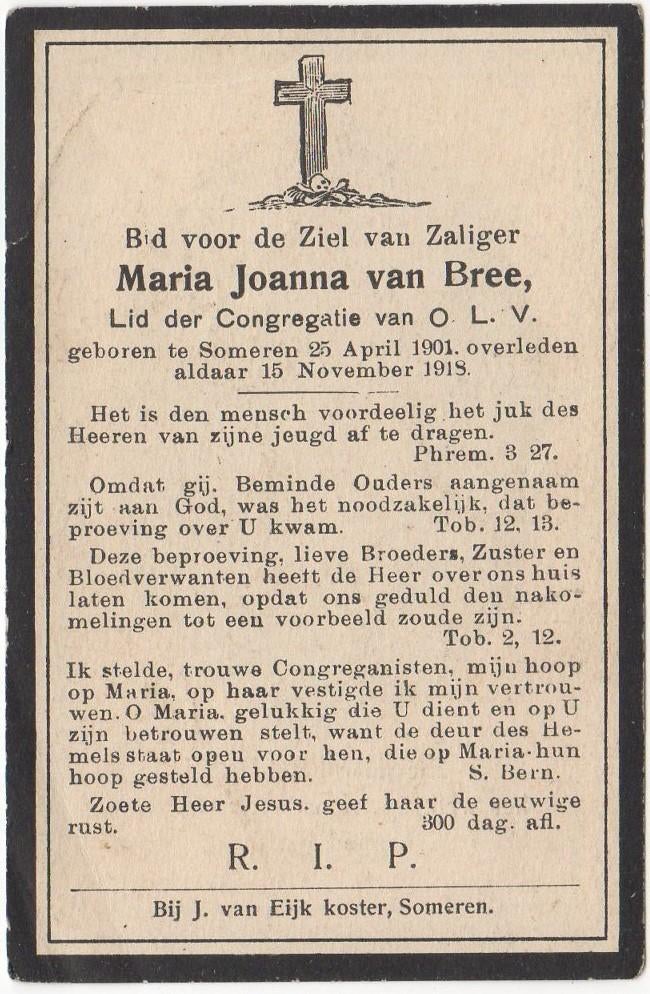 Maria Joanna van Bree 1901 - 1918 Someren, 17 jaar oud, Verzenden