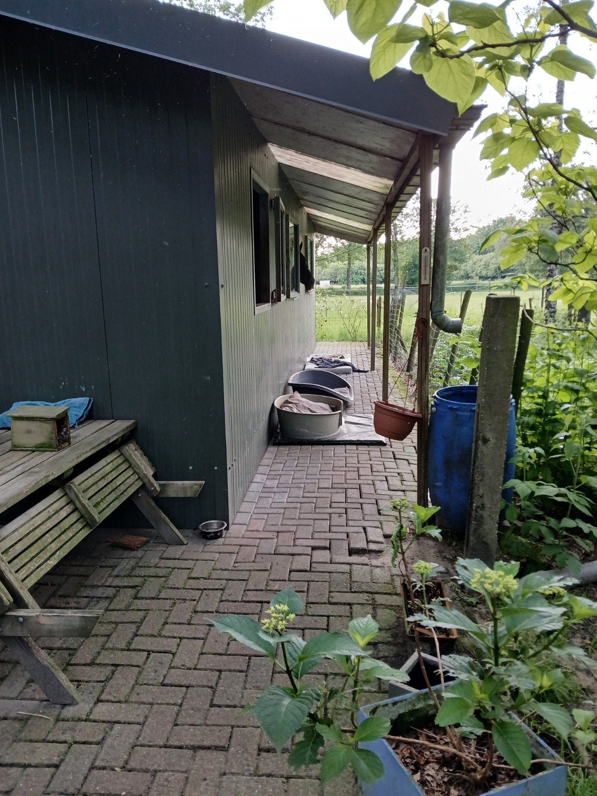 2 boxen vrij met paddock weide, Dieren en Toebehoren, Stalling en Weidegang, Weidegang
