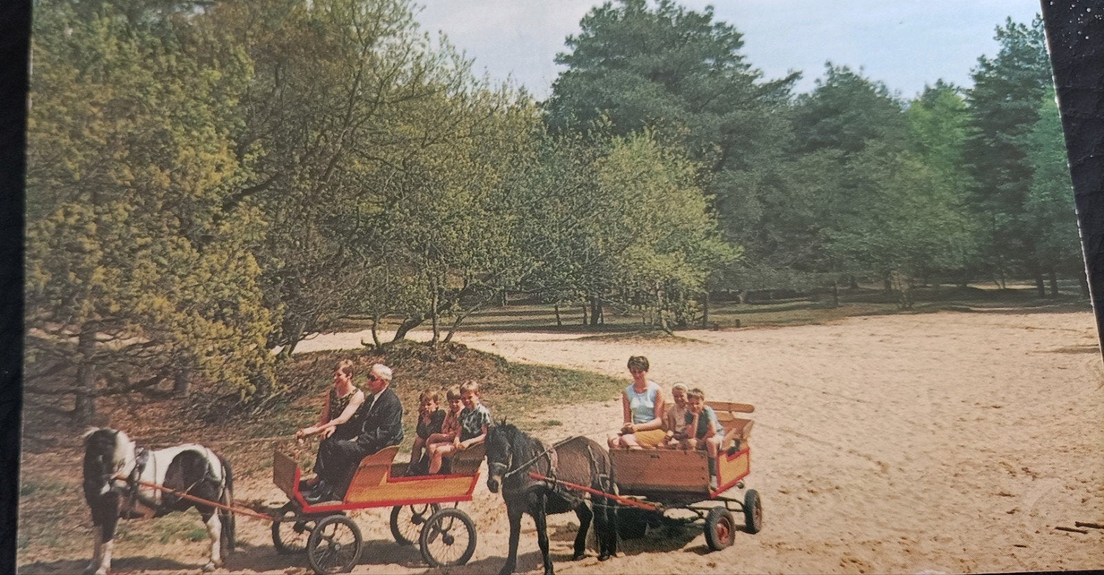 Appelscha 1972. De Roggeberg, Ophalen of Verzenden, 1960 tot 1980, Gelopen, Friesland
