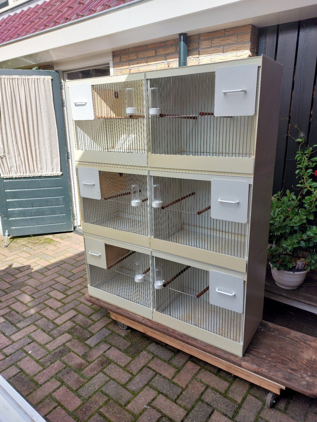 3 x 2 Pascal Hemel kunstof broedkooien 122, Ophalen of Verzenden, Zo goed als nieuw, Kunststof, Broedkooi of Kweekkooi