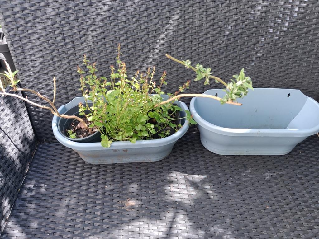 2 hang plantenbakken, Tuin en Terras, Bloembakken en Plantenbakken, Ophalen, Rond, Kunststof, Minder dan 30 cm