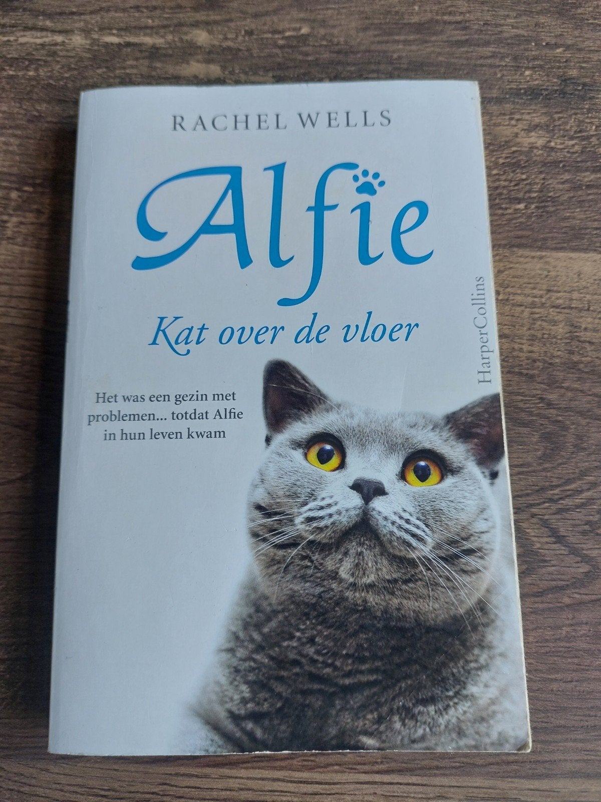 Alfie kat over de vloer Rachel Wells, Ophalen of Verzenden
