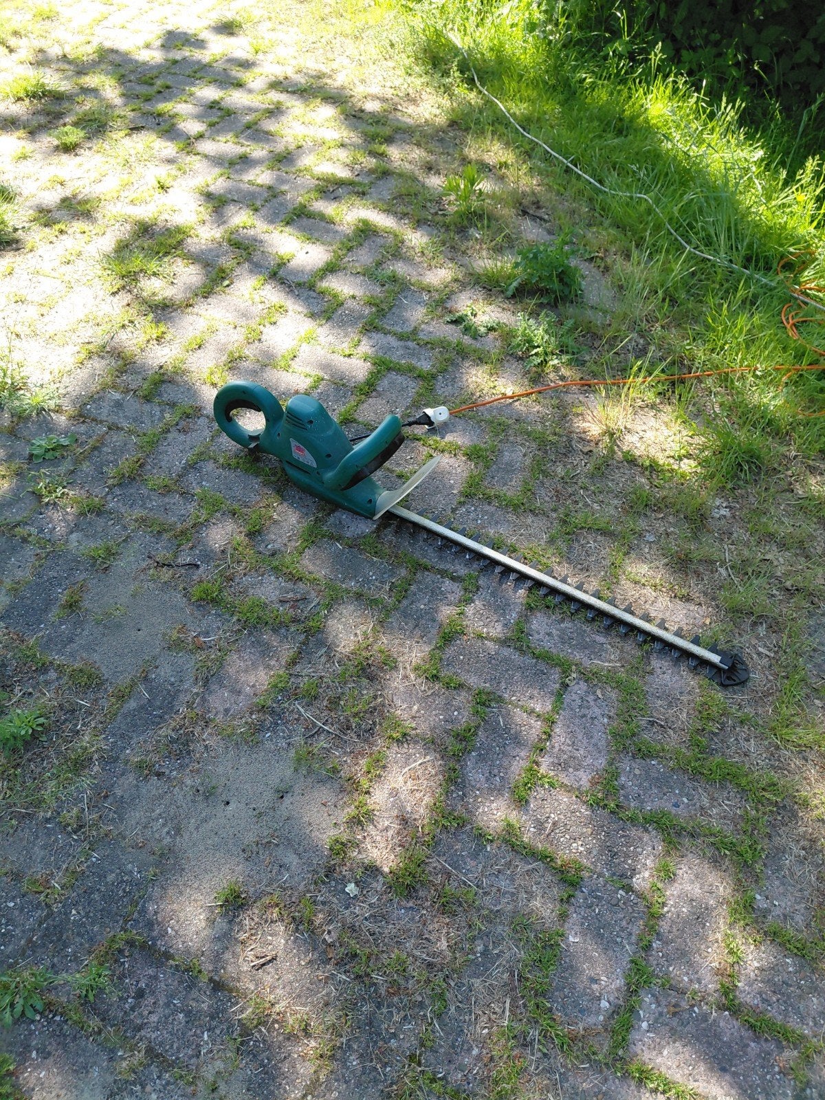Bosch Heggenschaar - Elektrisch, Goede Staat, Ophalen of Verzenden, Gebruikt, Elektrisch, Bosch