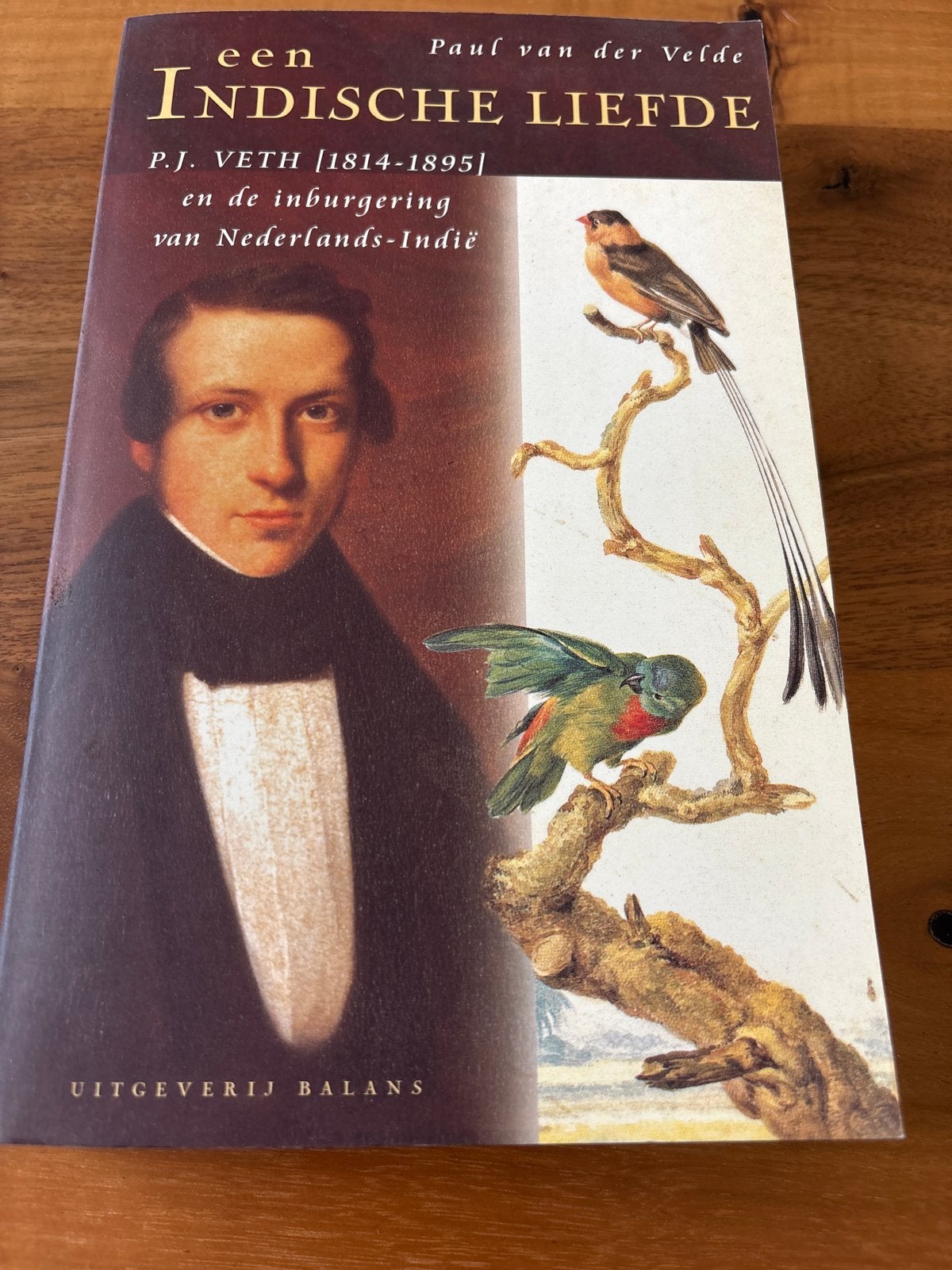 Een Indische Liefde - P.J. Veth (1814-1895) Paul van der Vel, Ophalen of Verzenden, Zo goed als nieuw, Overige