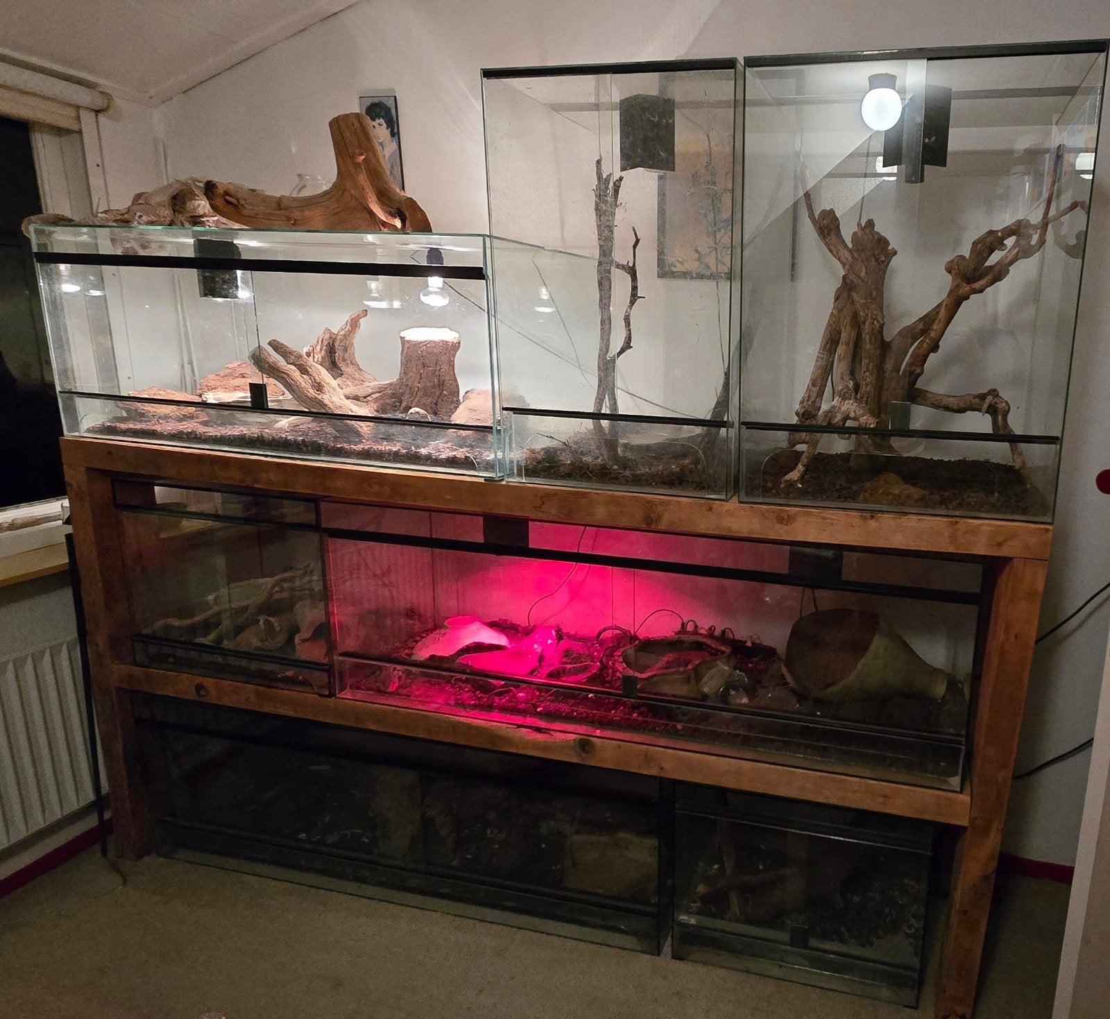 Terrarium set, Dieren en Toebehoren, Reptielen en Amfibieën | Toebehoren, Zo goed als nieuw, Terrarium of Paludarium, Ophalen