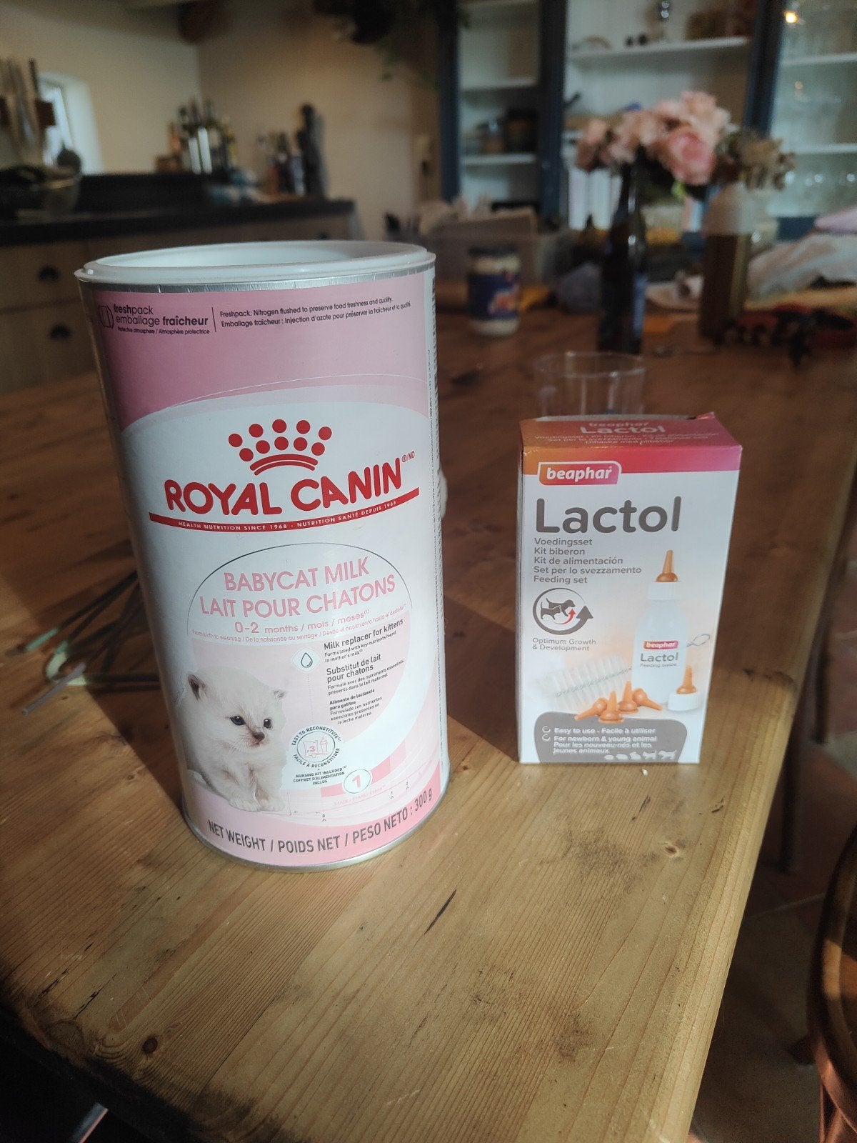 Royal canin kittenmelk, Verzenden, Kat